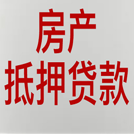 秦安贷款中介公司新渝启服能力强